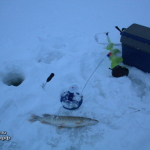 Зимняя рыбалка на Вашутинском