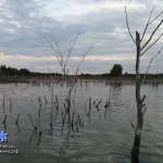 Рыбалка в Ивановском
