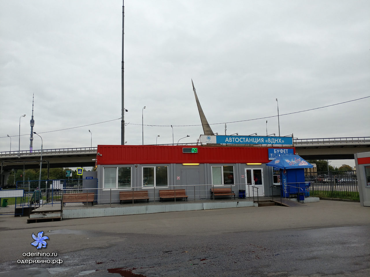 автовокзал в санкт петербурге