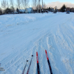 Лыжи: Одерихино — Рушиново