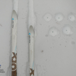 Лыжи: Одерихино — Охотино
