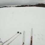 Лыжи: Полянковское болото