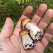 PXL_20250626_120816079