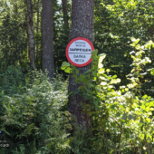 PXL_20250725_121656885