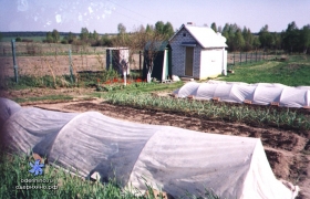 Центральная 26