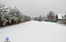 Центральная