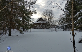 Центральная 62