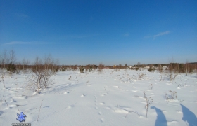 Зады