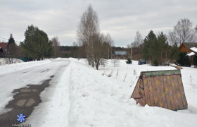 Центральная улица