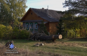Центральная 58