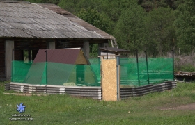 Колхоз