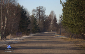 Улица Центральная