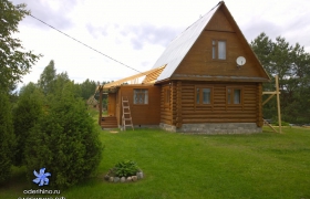 Центральная 61