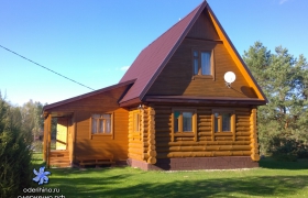 Центральная 61