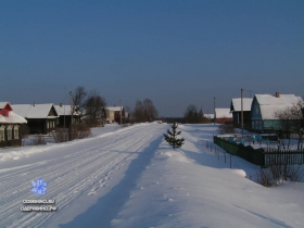 Улица Центральная