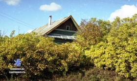 Центральная 7