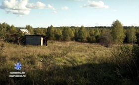 Центральная 22