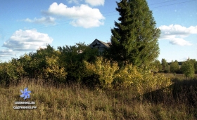 Центральная 32