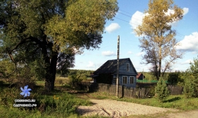 Центральная 49