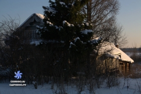 Центральная 32
